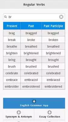 Play Regular Verbs