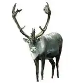 Free play online Reindeer Front Sticker APK Free play online Reindeer Front Sticker APK