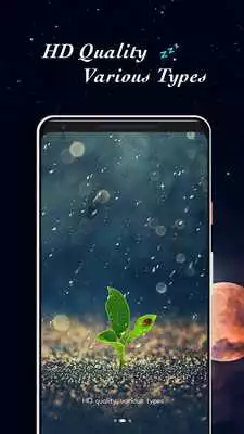 Play Relax   Calm Music - Sleep Better