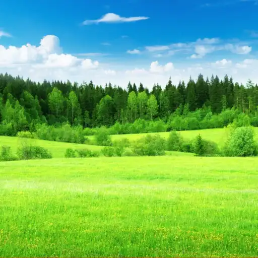 Play Relax Country: sleeping sounds APK Play Relax Country: sleeping sounds APK