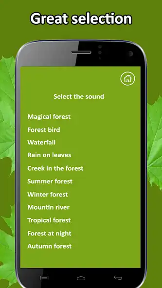 Play Relax Forest