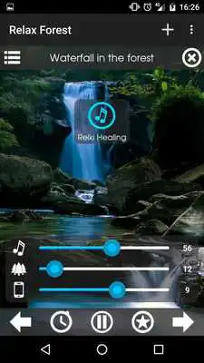 Play Relax Forest