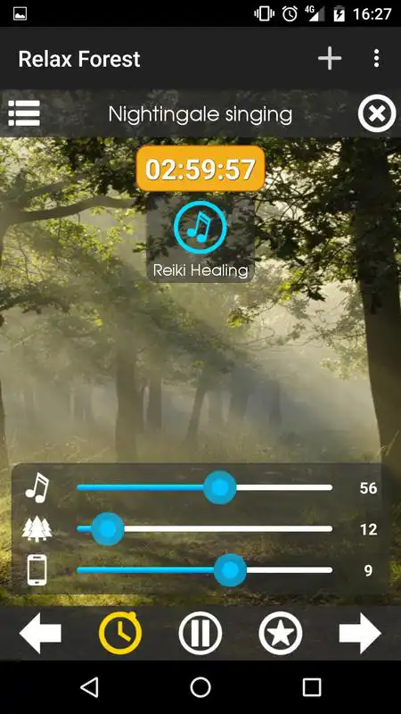 Play Relax Forest