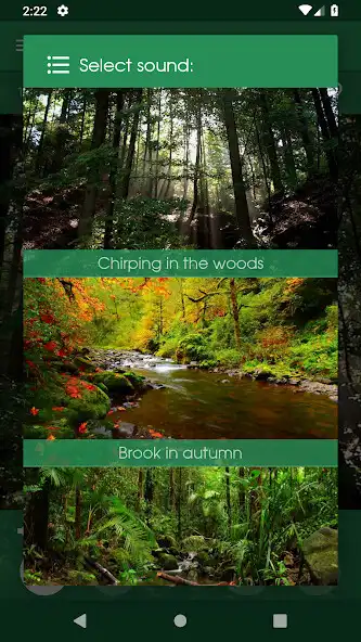 Play Relax Forest: sleeping sounds  and enjoy Relax Forest: sleeping sounds with UptoPlay