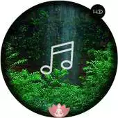 Free play online Relax Forest~Meditation sounds APK Free play online Relax Forest~Meditation sounds APK