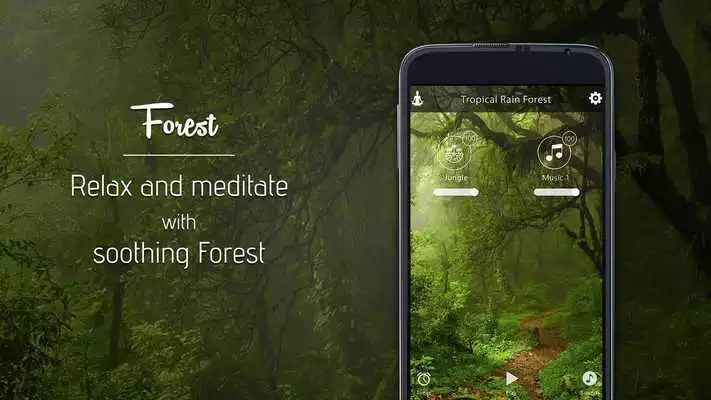 Play Relax Forest~Meditation sounds