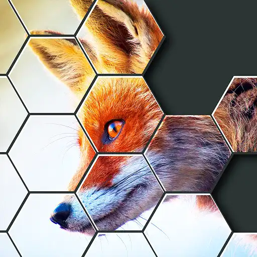 Play Relax hexa puzzle APK Play Relax hexa puzzle APK