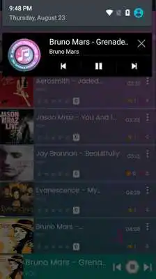 Play Relaxing Acoustic Songs Collection Play Relaxing Acoustic Songs Collection