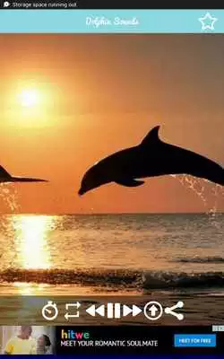 Play Relaxing Dolphin Sounds