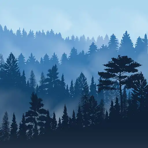 Play Relaxing Forest Sounds APK
