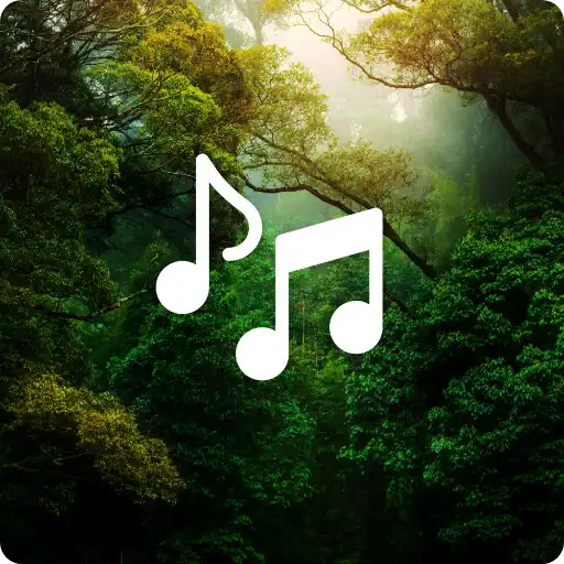 Play Relaxing Forest Sounds: Sleep, Meditate APK Play Relaxing Forest Sounds: Sleep, Meditate APK