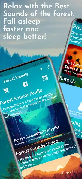 Play Relaxing Forest Sounds: Sleep, Meditate  and enjoy Relaxing Forest Sounds: Sleep, Meditate with UptoPlay