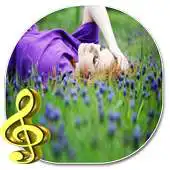Free play online relaxing music and ringtones APK Free play online relaxing music and ringtones APK
