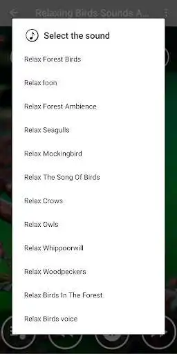 Play Relaxing Music  Birds Singing as an online game Relaxing Music  Birds Singing with UptoPlay
