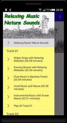 Play Relaxing Music Nature Sounds