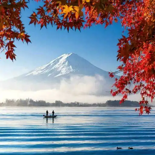 Play Relaxing Music, Sleep Sounds APK Play Relaxing Music, Sleep Sounds APK