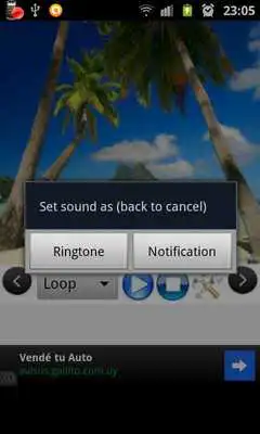 Play Relaxing Nature Sounds