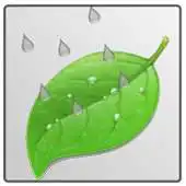 Free play online Relaxing Rain HD APK Free play online Relaxing Rain HD APK