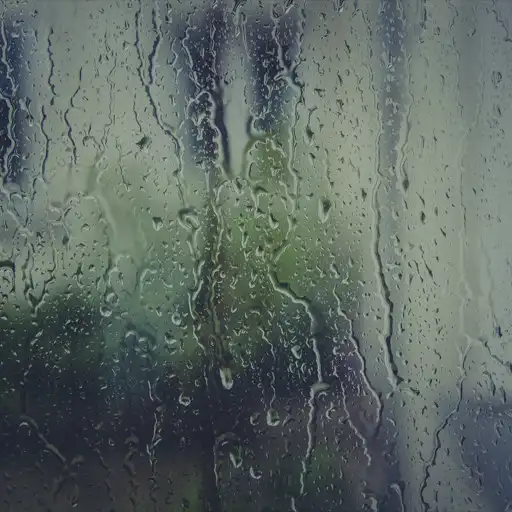 Free play online Relaxing Rain Sounds APK