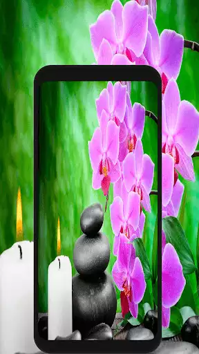 Play Relaxing Ringtones  and enjoy Relaxing Ringtones with UptoPlay
