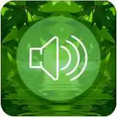 Free play online Relaxing Sounds and Music APK
