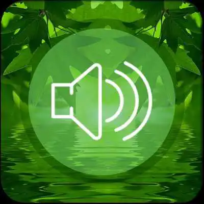 Play Relaxing Sounds and Music