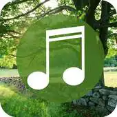 Free play online Relaxing Sounds - Relax , Sleep Natural Healing APK Free play online Relaxing Sounds - Relax , Sleep Natural Healing APK