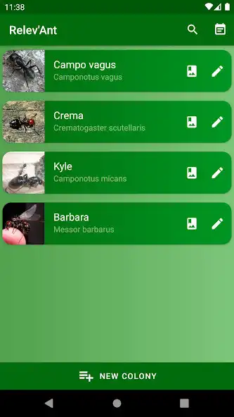 Play RelevAnt  and enjoy RelevAnt with UptoPlay