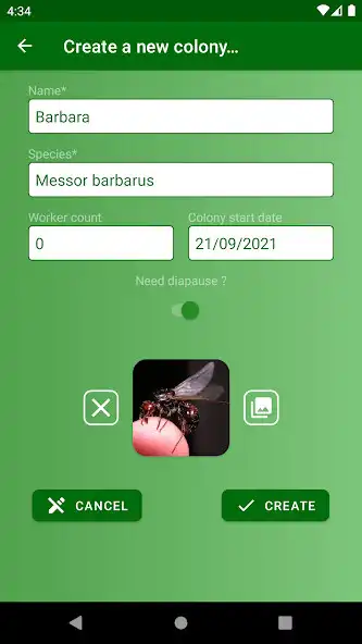 Play RelevAnt as an online game RelevAnt with UptoPlay