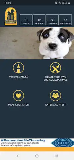 Play Remember Me Thursday  and enjoy Remember Me Thursday with UptoPlay