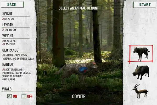 Play Remington 2020 Hunter