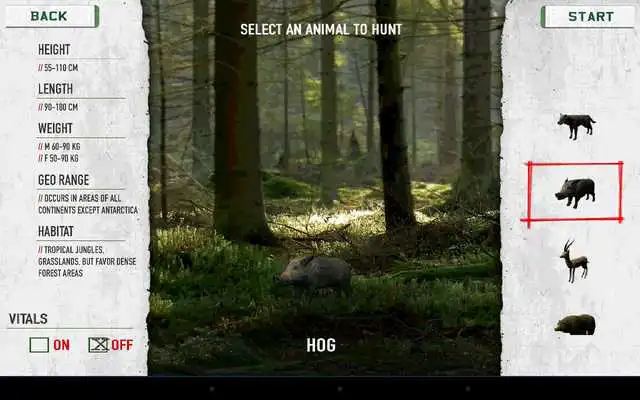 Play Remington 2020 Hunter