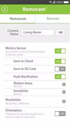 Play REMO CAM