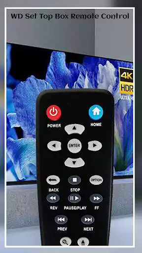 Play Remote Control For WD Set Top Box as an online game Remote Control For WD Set Top Box with UptoPlay