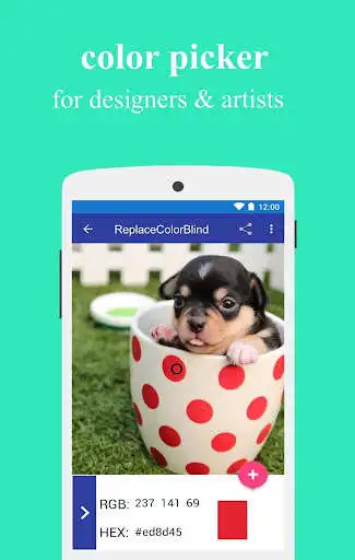 Play ReplaceColorBlind (beta) as an online game ReplaceColorBlind (beta) with UptoPlay