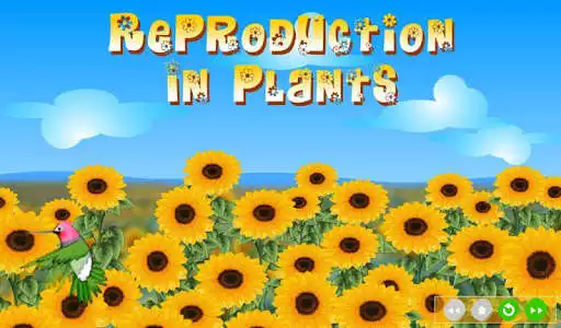 Play Reproduction in Plants as an online game Reproduction in Plants with UptoPlay