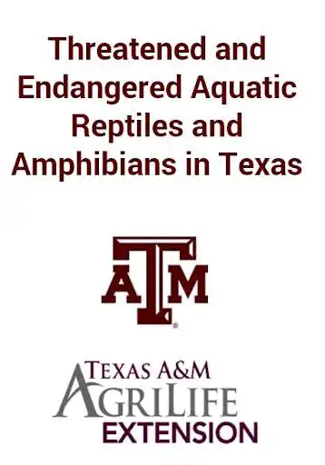 Play Reptiles & Amphibians of TX  and enjoy Reptiles & Amphibians of TX with UptoPlay