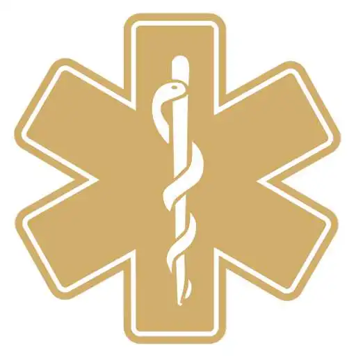 Play Rescue Riders APK