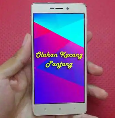 Play Resep Olahan Kacang Panjang