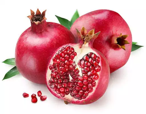 Play Resep Tanaman Obat Herbal as an online game Resep Tanaman Obat Herbal with UptoPlay