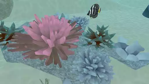 Play ResilientReef  and enjoy ResilientReef with UptoPlay