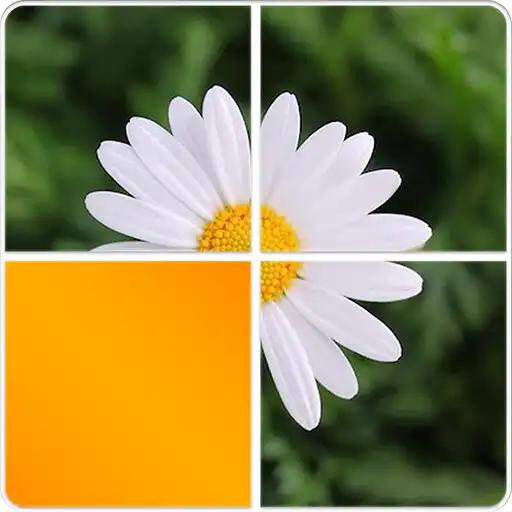 Play Resimde Ne Var? APK