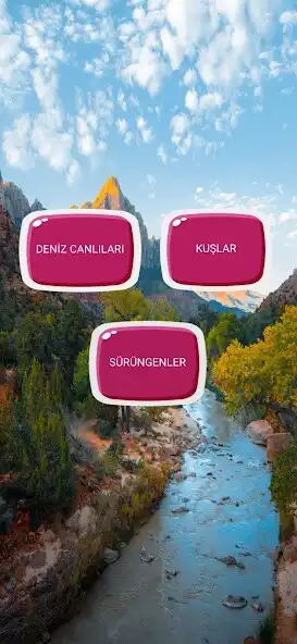 Play Resimli hayvan isim ve sesleri  and enjoy Resimli hayvan isim ve sesleri with UptoPlay