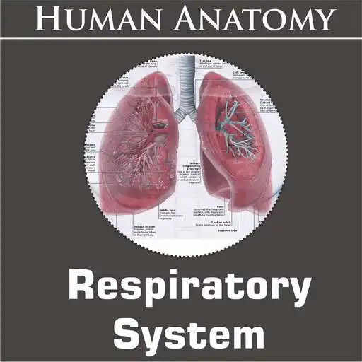 Run free android online Respiratory System APK Run free android online Respiratory System APK