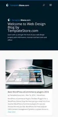 Play Responsive Web Design Blog