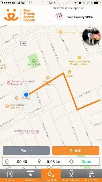 Play ResQwalk by Best Friends Animal Society  and enjoy ResQwalk by Best Friends Animal Society with UptoPlay