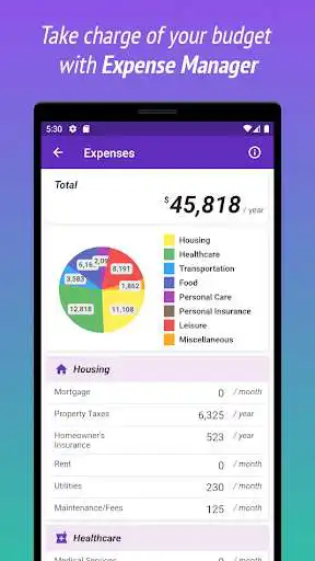 Play Retirement Planner as an online game Retirement Planner with UptoPlay