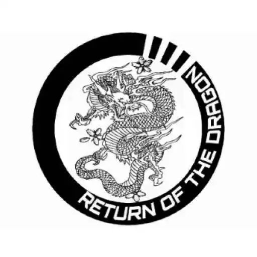 Play Return of the Dragon Martial Arts APK