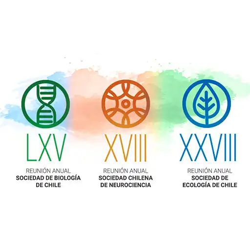 Play Reunión conjunta 2022 APK