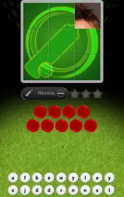 Play Reveal Cricket Quiz
